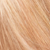 L'Oreal Paris Excellence Age Perfect Creme Colour 8.31 Pure Beige Blonde