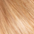L'Oreal Paris Excellence Age Perfect Creme Colour 8.34 Honey Blonde